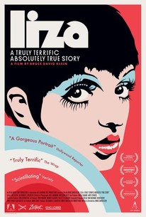 Liza: A Truly Terrific Absolutely True Story online